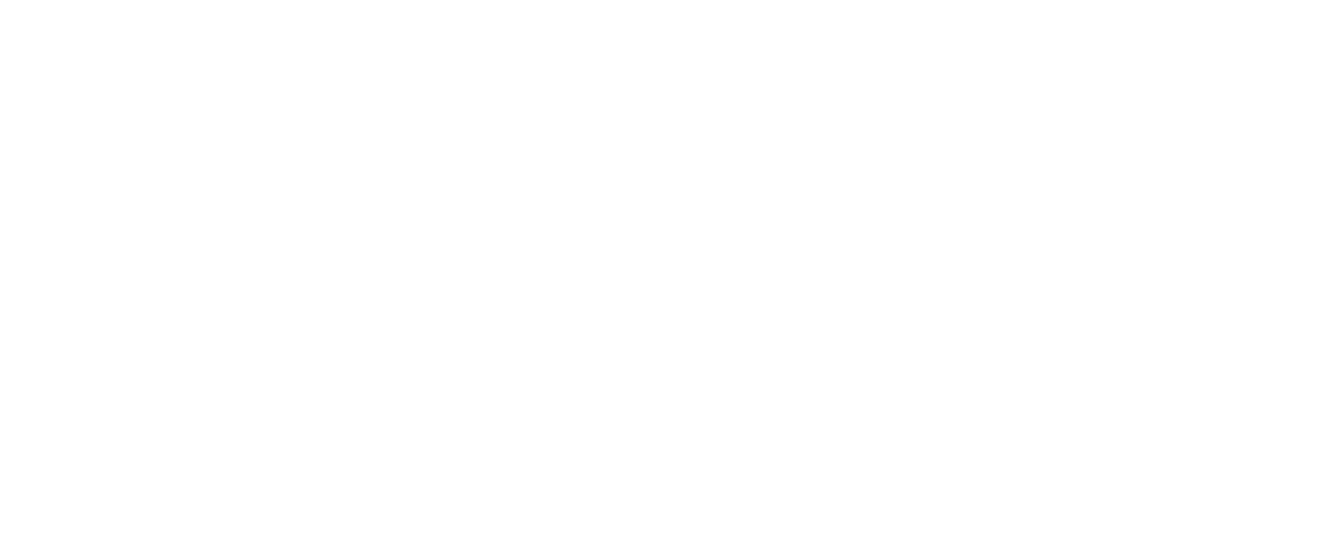 logo-stripe.png