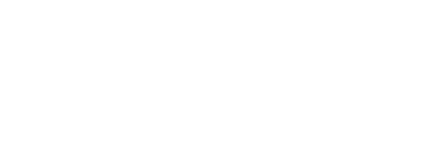 logo-visa-white.png